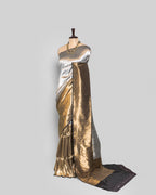 SILVER-GOLD ZARI WOVEN TISSUE SILK SAREE