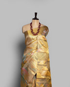 RANGKAT MULTICOLOUR KANJEEVARAM SILK SAREE