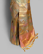 RANGKAT MULTICOLOUR KANJEEVARAM SILK SAREE
