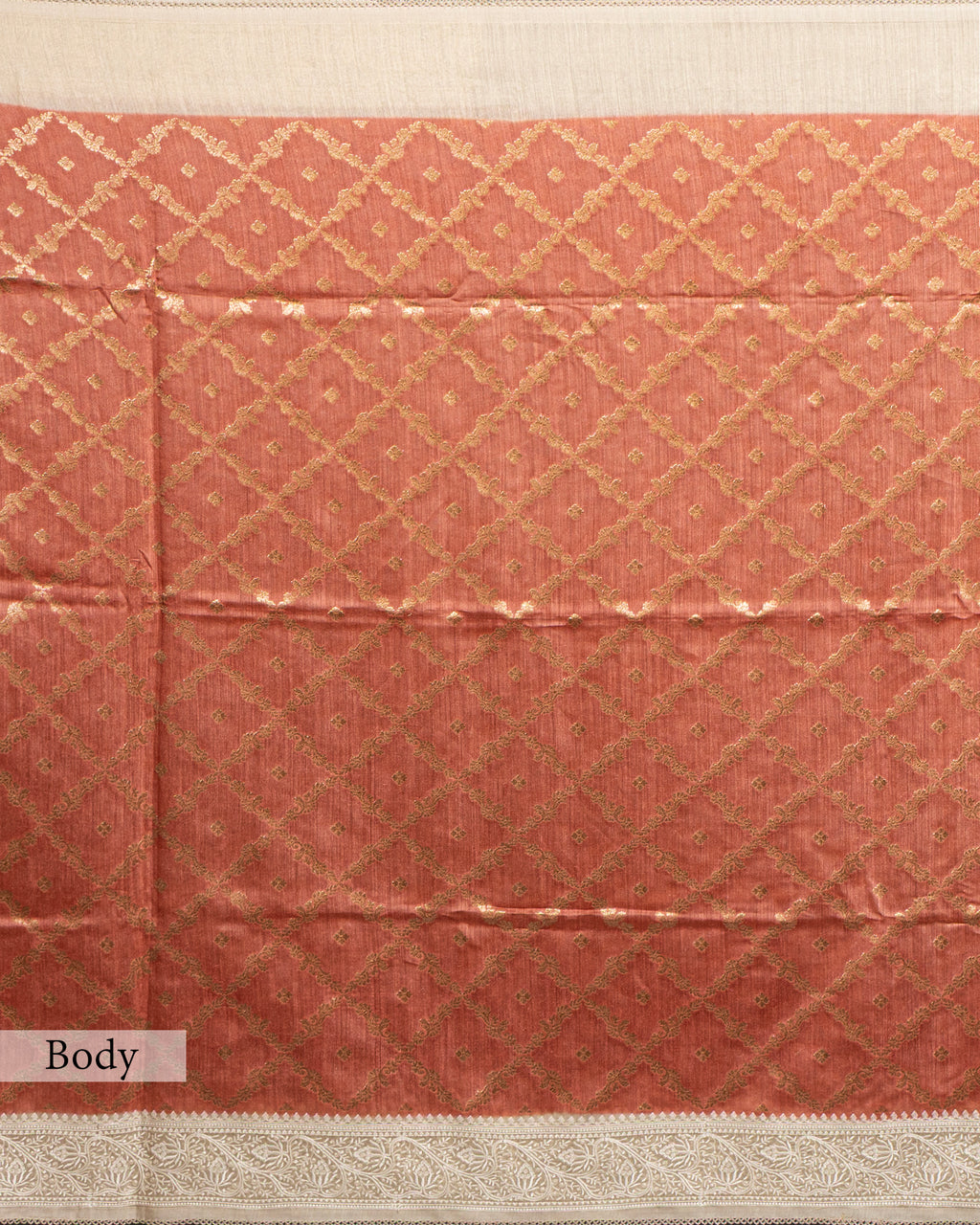 RUST ORANGE ORGANIC TUSSAR SAREE
