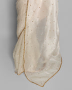 IVORY DESIGNER ORGANZA SAREE WITH SEQUIN & PEARL WORK