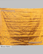 SILVER GOLD ZARDOZI WORK SOFT TISSUE SAREE