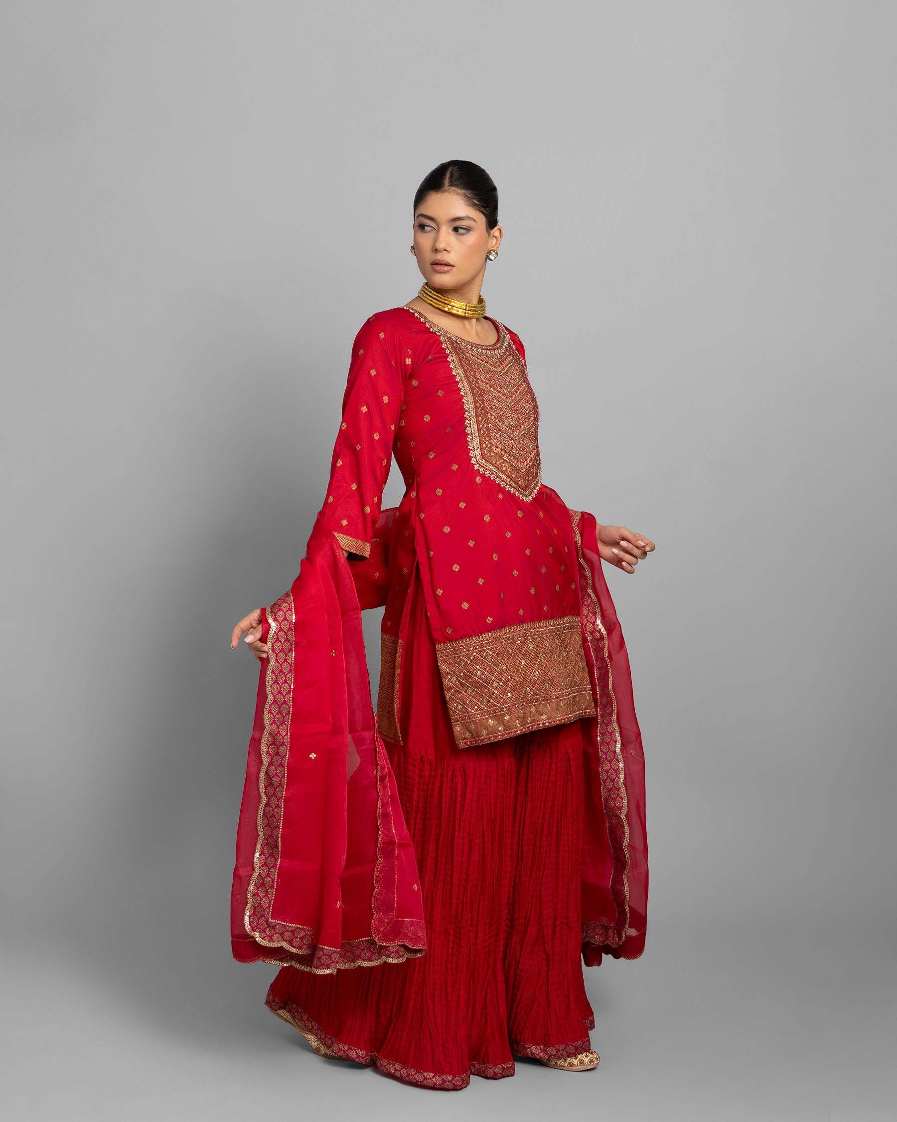 BANARASI EMBROIDERED GHARARA SET