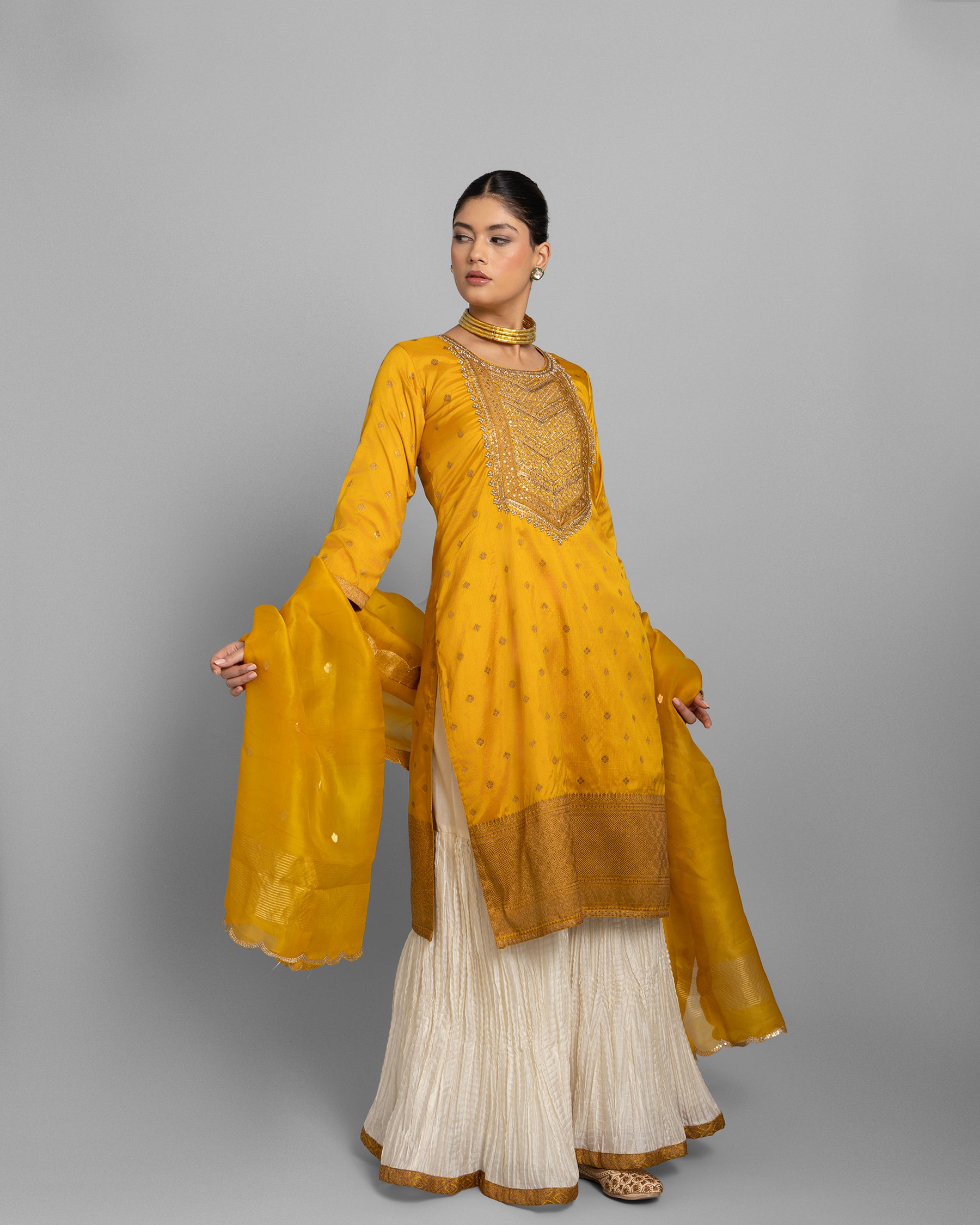 BANARASI EMBROIDERED GHARARA SET