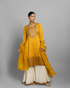 BANARASI EMBROIDERED GHARARA SET