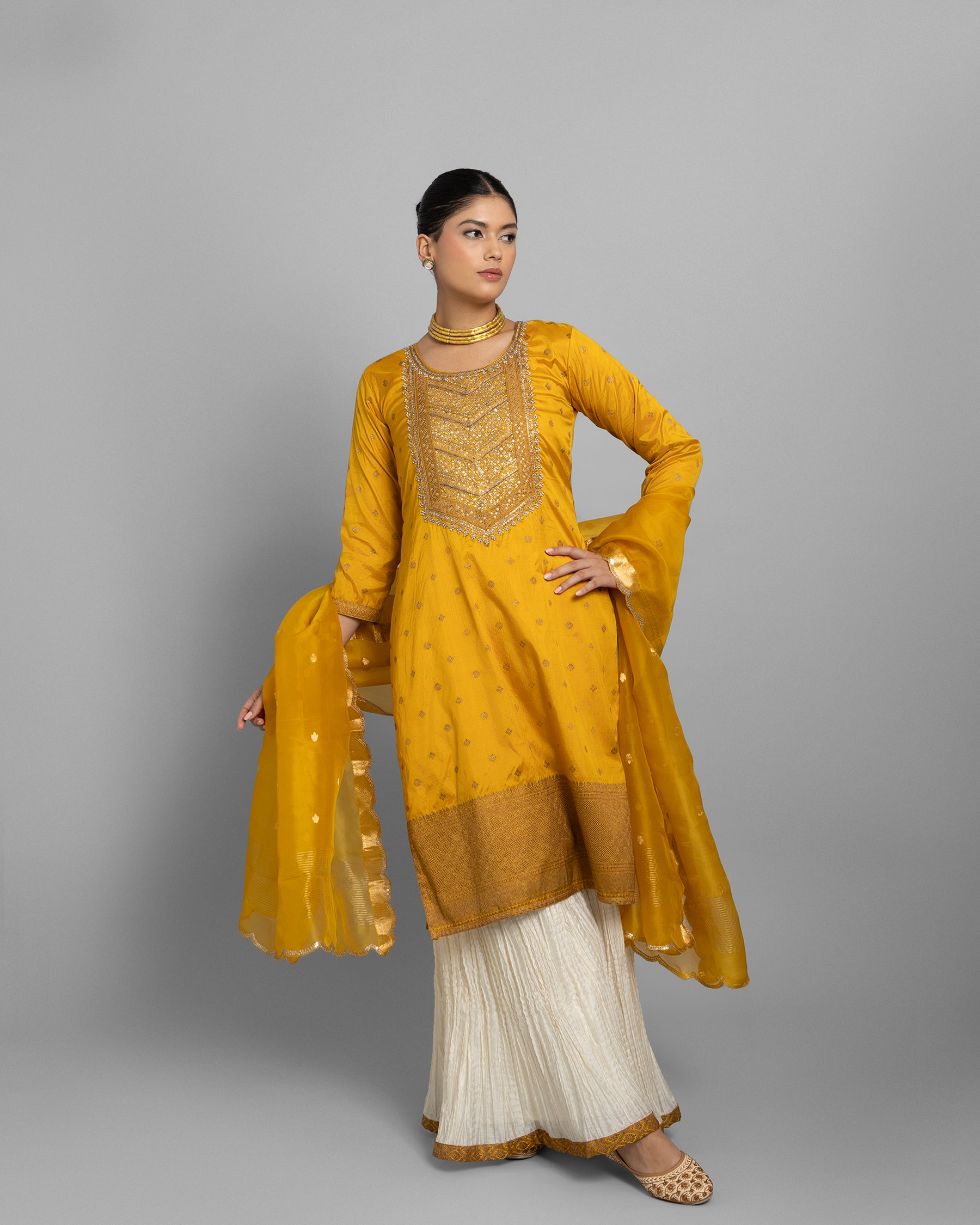 BANARASI EMBROIDERED GHARARA SET