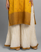 BANARASI EMBROIDERED GHARARA SET