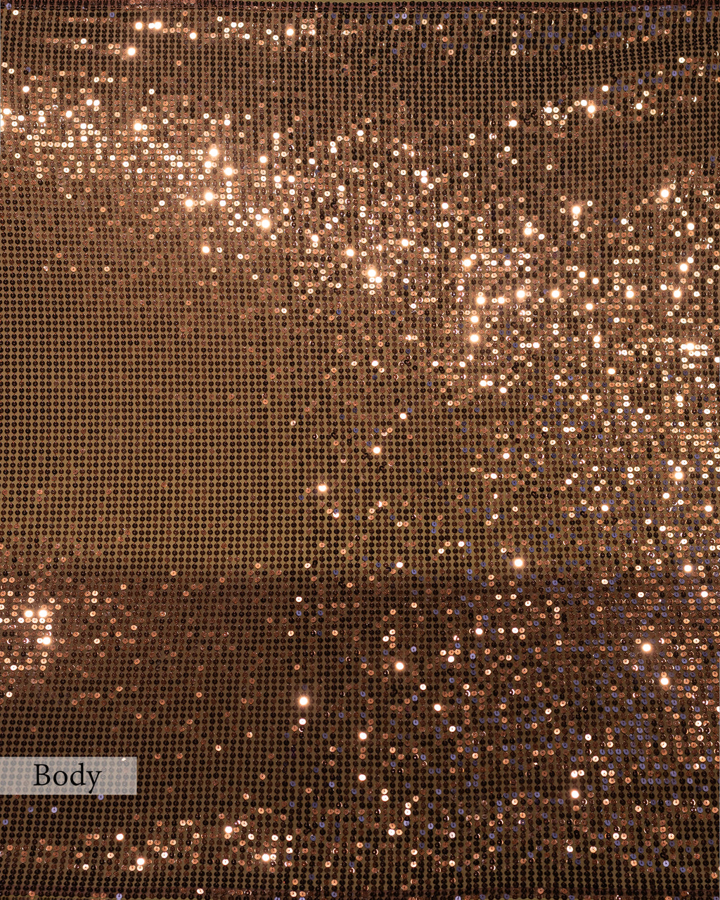 MOCHA BROWN EMBELLISHED SEQUINED MESH SAREE