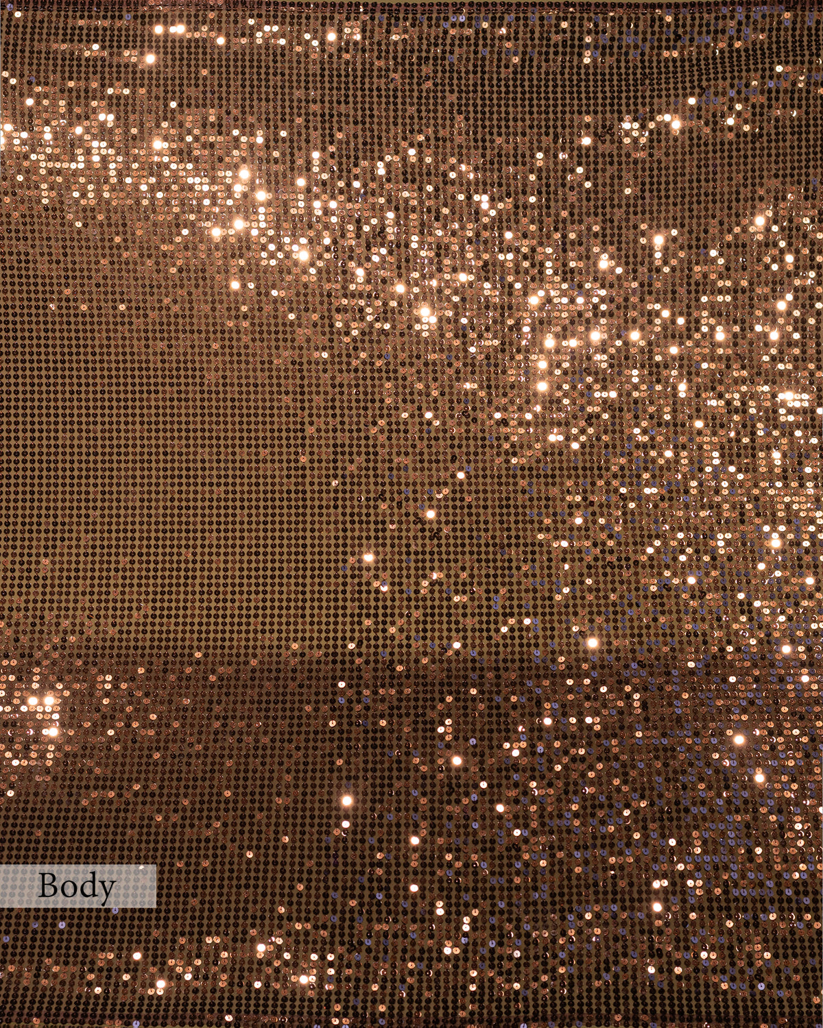 MOCHA BROWN EMBELLISHED SEQUINED MESH SAREE