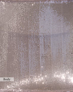 CHAMPAGNE GOLD EMBELLISHED MESH SAREE