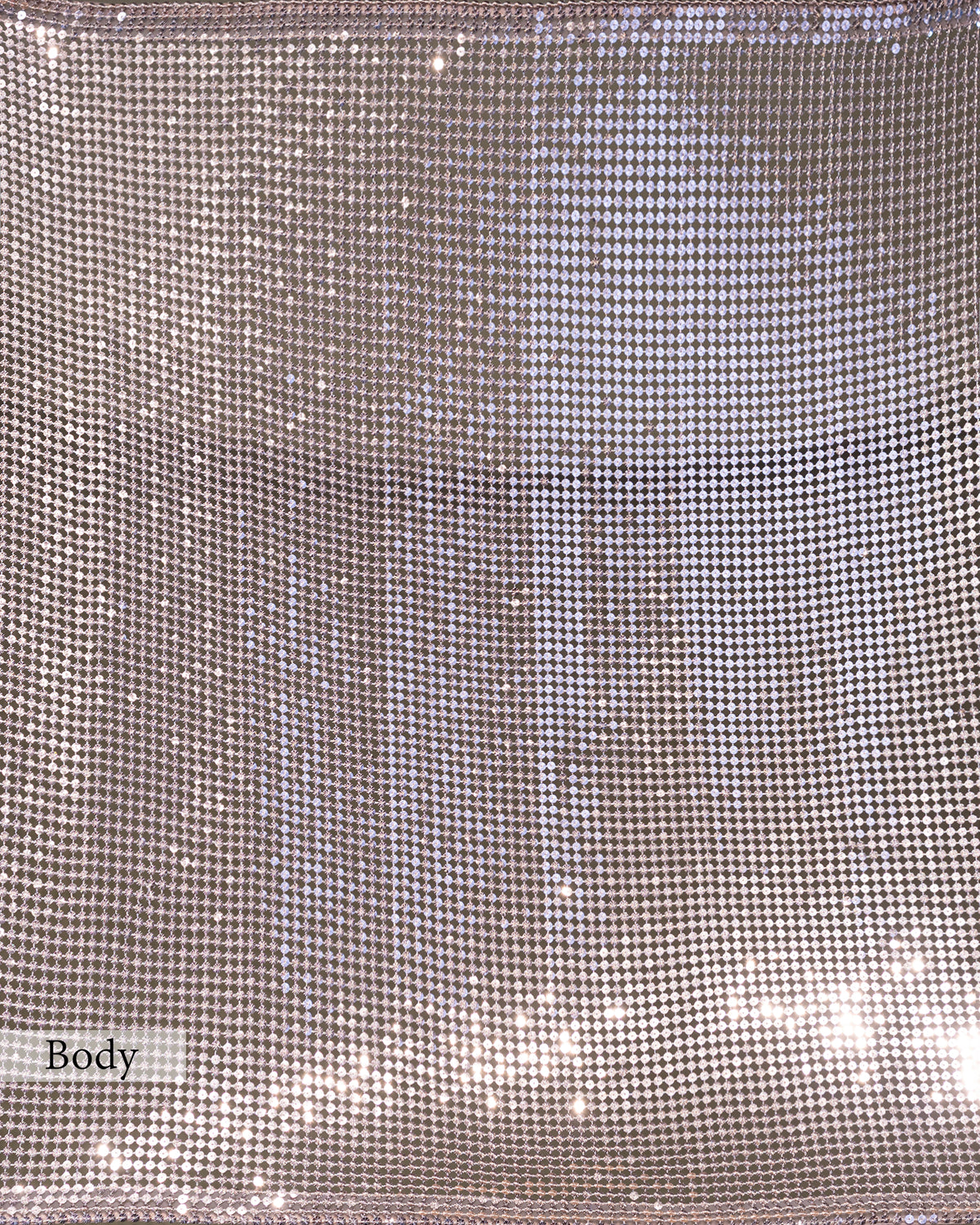 CHAMPAGNE GOLD EMBELLISHED MESH SAREE