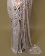 CHAMPAGNE EMBELLISHED MESH SAREE