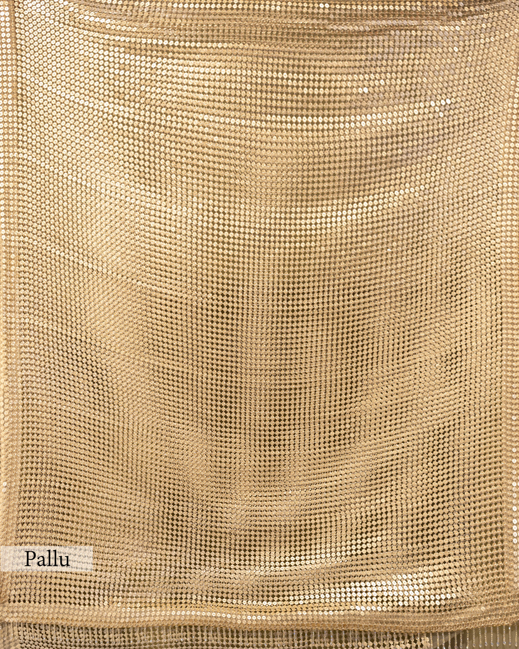 CHAMPAGNE EMBELLISHED MESH SAREE