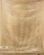 CHAMPAGNE EMBELLISHED MESH SAREE