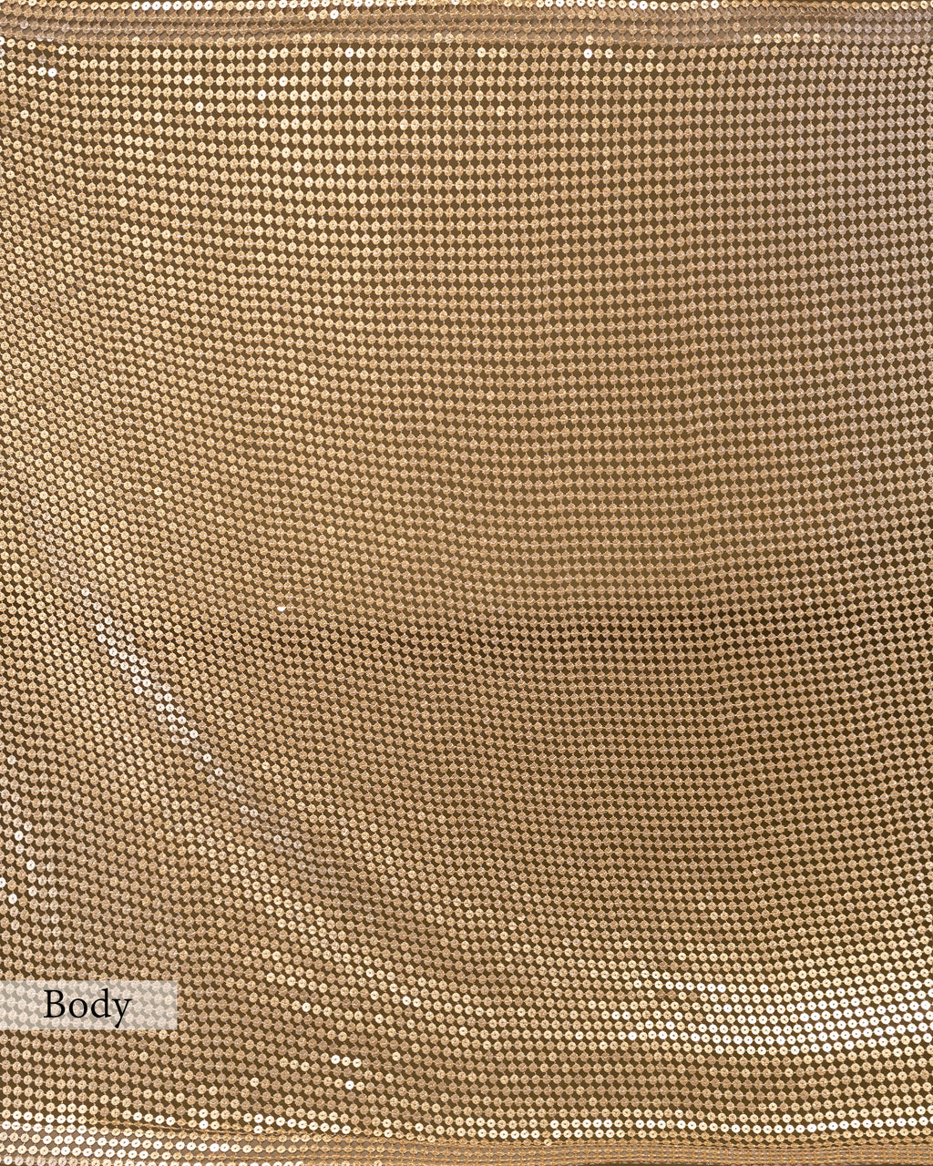 CHAMPAGNE EMBELLISHED MESH SAREE
