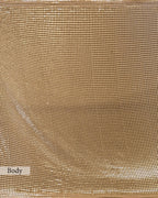 CHAMPAGNE EMBELLISHED MESH SAREE