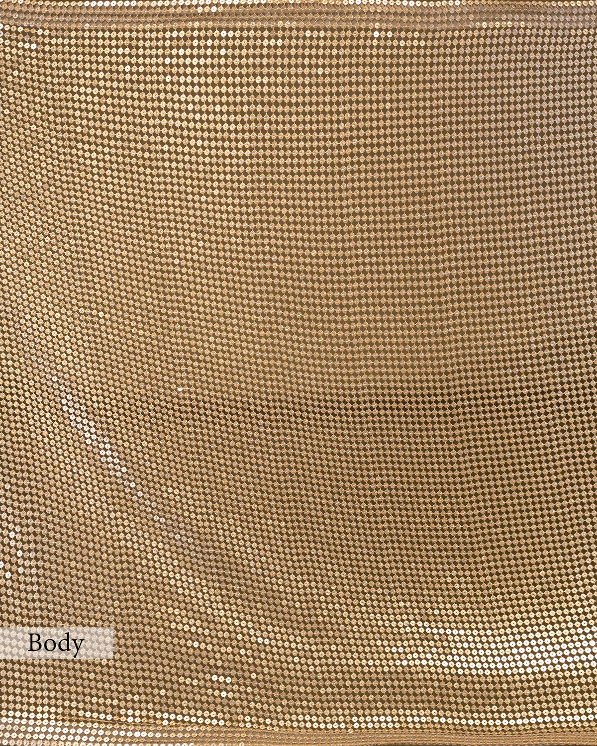 CHAMPAGNE EMBELLISHED MESH SAREE