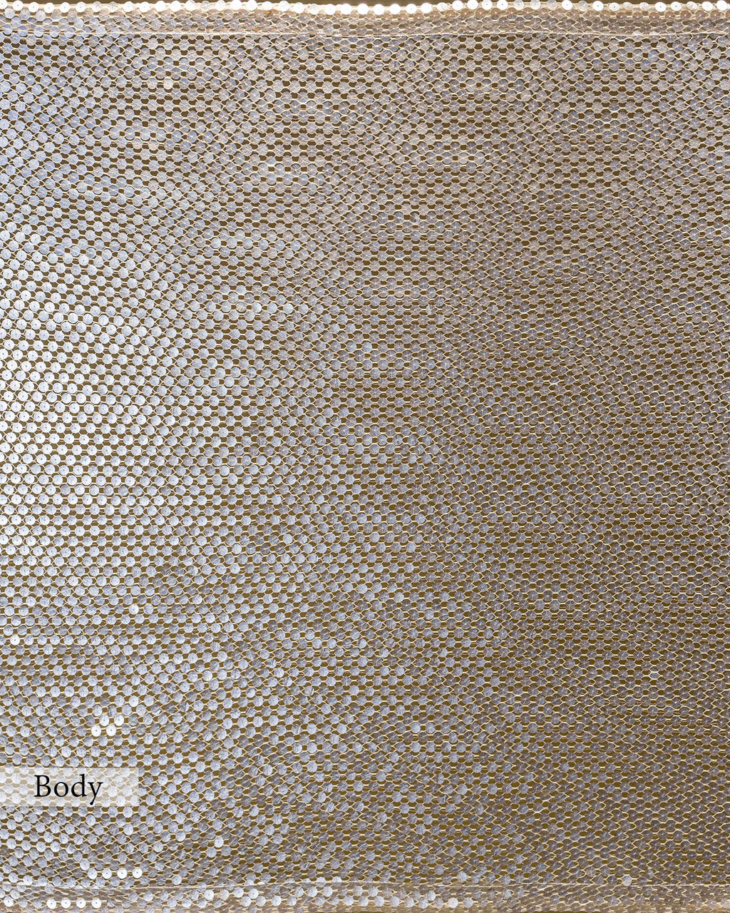 IVORY EMBELLISHED MESH SAREE