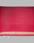 RED ORANGE TINCHOI MEENAKARI BANDHEJ BANARASI HANDWOVEN GEORGETTE  SAREE
