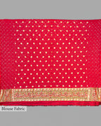 CORAL PINK BANDHEJ PAITHANI BORDER BANARASI HANDWOVEN SILK SAREE