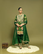 EMERALD GREEN IKAT PATOLA FARSI SET