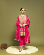 RANI PINK IKAT PATOLA FARSI SET