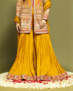 MUSTARD APPLIQUE SHARARA SET