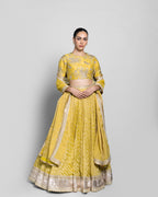 MUSTARD BANARASI LEHENGA SET
