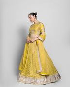 MUSTARD BANARASI LEHENGA SET