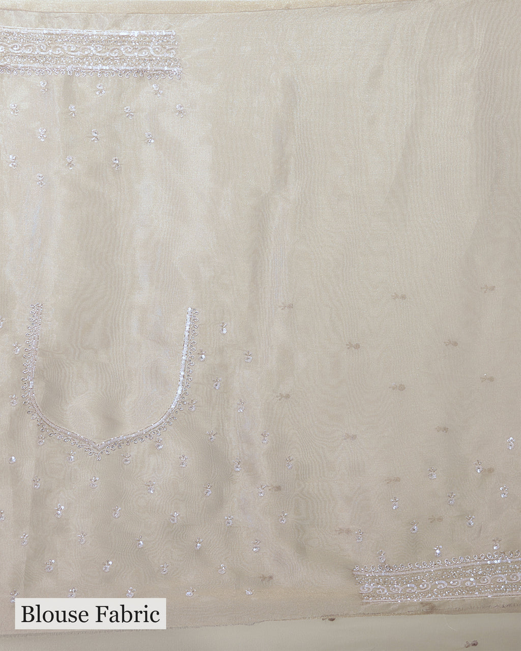 TAUPE EMBELLISHED TISSUE SAREE