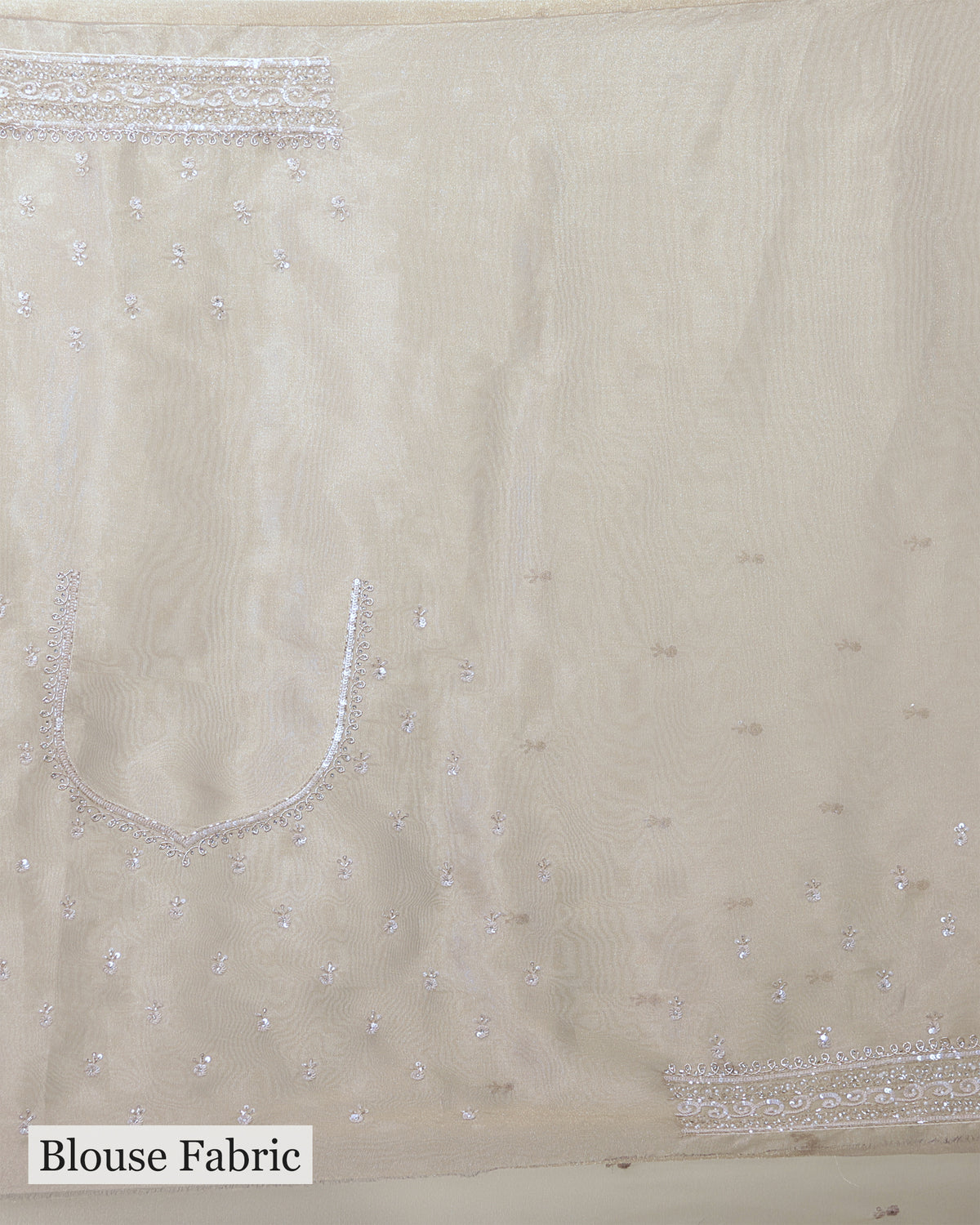 TAUPE EMBELLISHED TISSUE SAREE